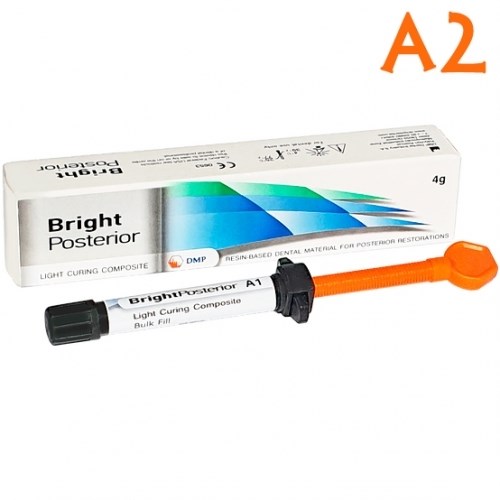 "Bright Posterior цв.А2 шпр. 4г-композит типа bulk fil"" для жевательных зубор, DMP" 1231912833 - фото 323139