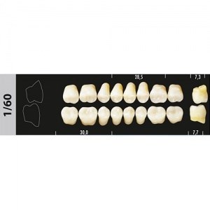 Зубы Major B4 1/60 жевательный низ, 8 шт (Super Lux) st497942 - фото 364984