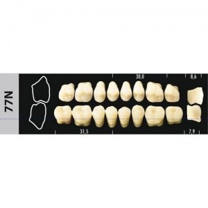 Зубы Major D4 77N жевательный верх, 8 шт (Super Lux) st498616 - фото 365242