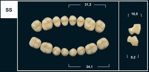 Зубы Yeti B2 SS жевательный низ (Tribos) 8 шт. 21307 - фото 368424
