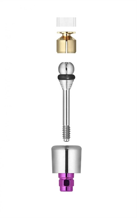 Шаровидный аттачмент FRIADENT Ball and Socket Attachment, размер D5.5/GH5, арт: 45-3165 45-3165 - фото 379371