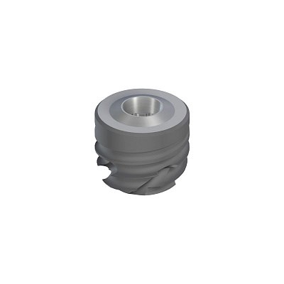 Имплантат Straumann BLC, WB Ø 6.5 мм, 6 мм, Roxolid®, SLActive® 035.9806S - фото 435486