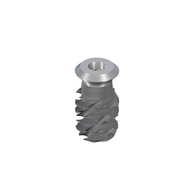 Имплантат Straumann TLX SP, WT Ø 6.5 мм, 10 мм, Roxolid®, SLActive® 035.3810S - фото 436481