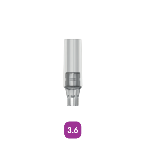 Абатмент литьевой CastDesign EV 3.6 (CastDesign EV 3.6), арт: 25326 25326 - фото 437232