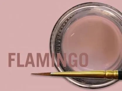 MiYO Gingiva Color внешний краситель для десны Flamingo, 4 г, Jensen Dental УТ-00006556 - фото 521038