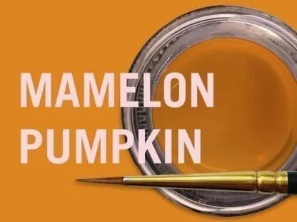 MiYO Mamelon высоко опаковый краситель с низкой флюоресцентностью Pumpkin, 4 г, Jensen Dental УТ-00006573 - фото 521328