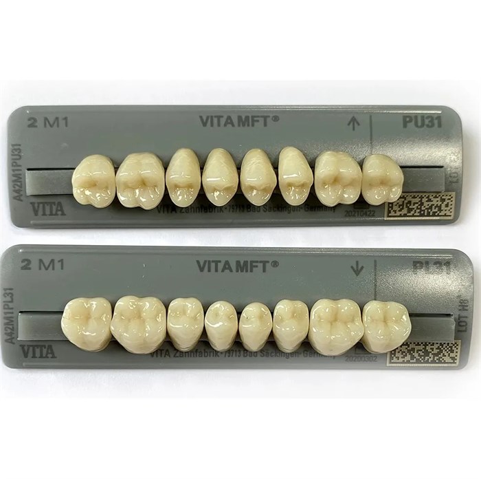 Зубы VITA  MFT Posteriores 2M1 PU31 жевательные верх (8 шт),  A42M1PU31, VITA УТ-00009043 - фото 522691