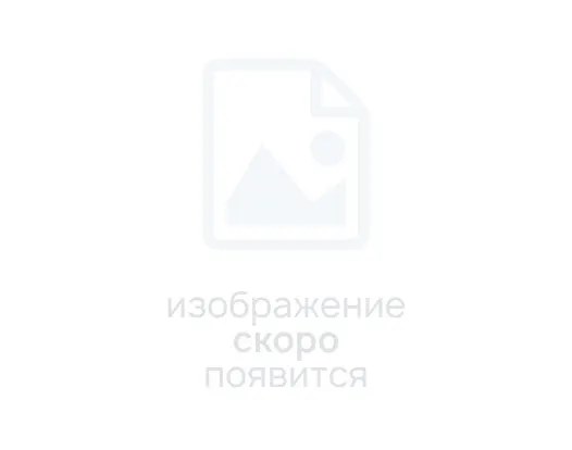 Чойс 2 (Choice 2), A2, пробная паста, шприц, 2г, C-412A2P, Bisco 00000014618 - фото 524087