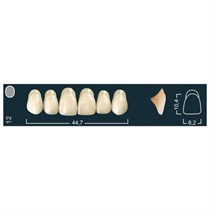 Ivocryl Set A-D - набор фронтальных верхних зубов, UOK12 A4, 6 шт 630628