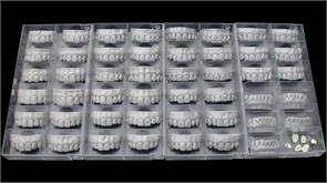 Модуль Exocad Tooth Library. Дополнительная библиотека естественных зубов ToothLibrary