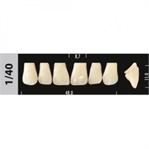 Зубы Major A3 1/40, 28 шт (Super Lux). st824909