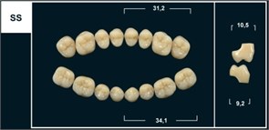 Зубы Yeti A1 SS жевательный низ (Tribos) 8 шт. 21301