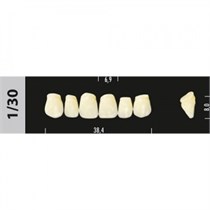 Зубы Major B1 1/30, 28 шт (Super Lux). st993949