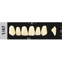 Зубы Major C4  1/47 фронтальный верх, 6 шт (Super Lux) st526588