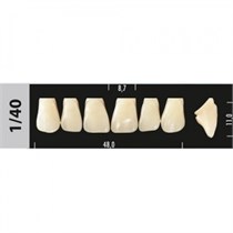 Зубы Major D3 1/40, 28 шт (Super Lux) st750527