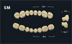 Зубы Yeti BL3 SM жевательный низ (Tribos) 8 шт. 21117