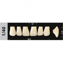 Зубы Major A1 1/40, 28 шт (Super Lux). st905367