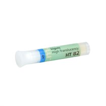 IPS e.max Press HT - керамические заготовки для техники прессования, цвет B2, 5 шт 626326