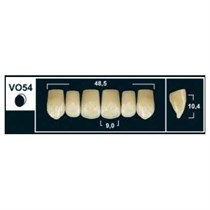 Зубы Yeti B2 VO54 фронтальный верх (Tribos) 6 шт. 28507