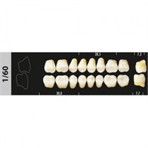Зубы Major C3 1/60 жевательный низ, 8 шт (Super Lux) st176168