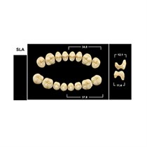 Зубы Yeti A2 SLA жевательный низ (Tribos) 8 шт. 22102