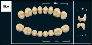 Зубы Yeti B2 SLA жев. низ (Tribos) 8 шт. 22107