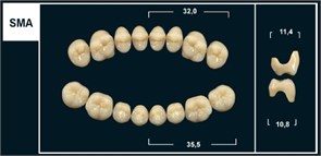 Зубы Yeti C2 SMA жевательный верх (Tribos) 8 шт. 22211