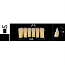 Зубы Yeti BL3 LV2 фронтальный низ (Tribos) 6 шт. 25517