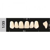 Зубы Major D2  1/35 фронтальный верх, 6 шт (Super Lux) st51231