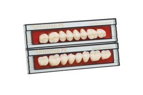 Зубы SR Orthotyp PE Набор из 8 зубов Chromascop жеват.верх. N6 2A. 522832