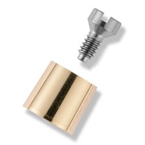 Колпачек (с винтом для колпачка)  XiVE TG Gold Bar Coping with Guide Pin D3.4-D4.5, арт: 25-4240 25-4240