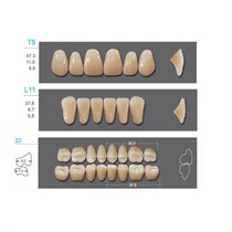 Kaifeng - зубы акриловые, верхние T9, цвет B2, коробка 4х28 шт B2T9/L11/32_Kaifeng
