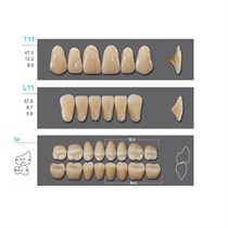 Kaifeng - зубы акриловые, верхние T11, цвет B3, коробка 4х28 шт B3T11/L11/34_Kaifeng