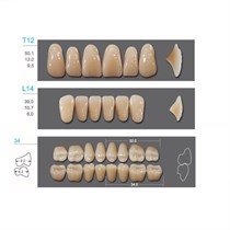 Kaifeng - зубы акриловые, верхние T12, цвет B3, коробка 4х28 шт B3T12/L14/34_Kaifeng