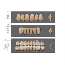 Kaifeng - зубы акриловые, верхние T3, цвет C1, коробка 4х28 шт C1T3/L6/32_Kaifeng