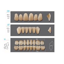 Kaifeng - зубы акриловые, верхние O5, овальные, цвет B4, коробка 4х28 шт B4O5/L8/34_Kaifeng