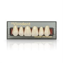 SR Vivodent Set - набор фронтальных зубов, 6 шт 540260
