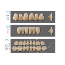 Kaili - зубы акриловые, верхние T10/нижние L10, цвет B3, размер *36M, коробка 4х28 шт B3T10/L10/*36M_Kaili