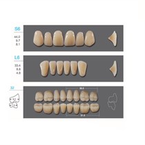 Kaili - зубы акриловые, верхние S6/нижние L6, цвет B3, размер 32, коробка 4х28 шт B3S6/L6/32_Kaili