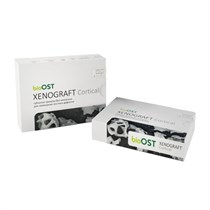 XENOGRAFT Cortical - гранулы с коллагеном (100% кортикальный слой), 0,5-1,0 мм, 1,0 сс XCr-1-1
