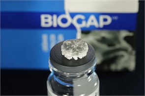 BIOGAP / Биоимплант ГАП Диск (объем 0,3 см), 10х3 мм 40100