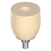 Абатмент временный WN, диаметр 10 мм, высота 10 мм, VITA CAD-Temp, с винтом 048.242