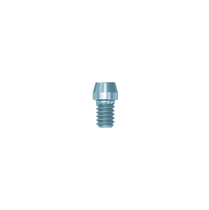 Винт мостовидного протеза EV (Bridge Screw EV), арт: 25481 25481