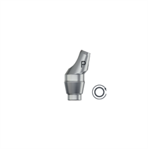 Абатмент угловой Profile EV 4.8, 20°, высота 2 мм NI (Angled Abutment Profile EV 4.8, 20° – 2 mm NI), арт: 25893 25893