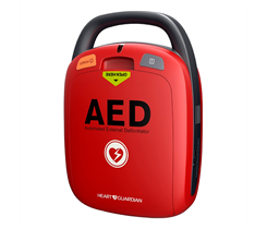 RadianQbio Heart Guardian HR-501 - автоматический наружный дефибриллятор с голосовыми подсказками 034893
