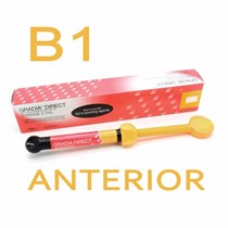 Градия Директ Антериор (Gradia Direct Anterior ), A-B1, шприц, 4г, 003388, GC 00000002291