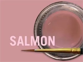 MiYO Gingiva Color внешний краситель для десны Salmon, 4 г, Jensen Dental УТ-00006561