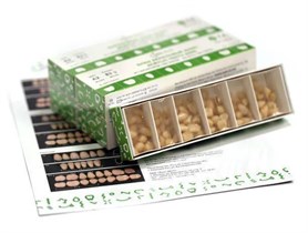 Зубы акриловые ANIS 2-х слойные А2 размер 14 (14, 44, 84 верх, 84 низ) 560шт, АНИС УТ-00001293