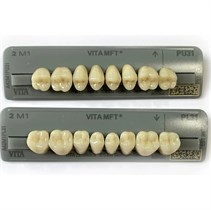 Зубы VITA  MFT Posteriores 2M1 PU31 жевательные верх (8 шт),  A42M1PU31, VITA УТ-00009043