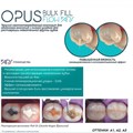 Opus Bulk Fill Flow APS A2, Шприц (2гр), FGM 1231914428 - фото 320049